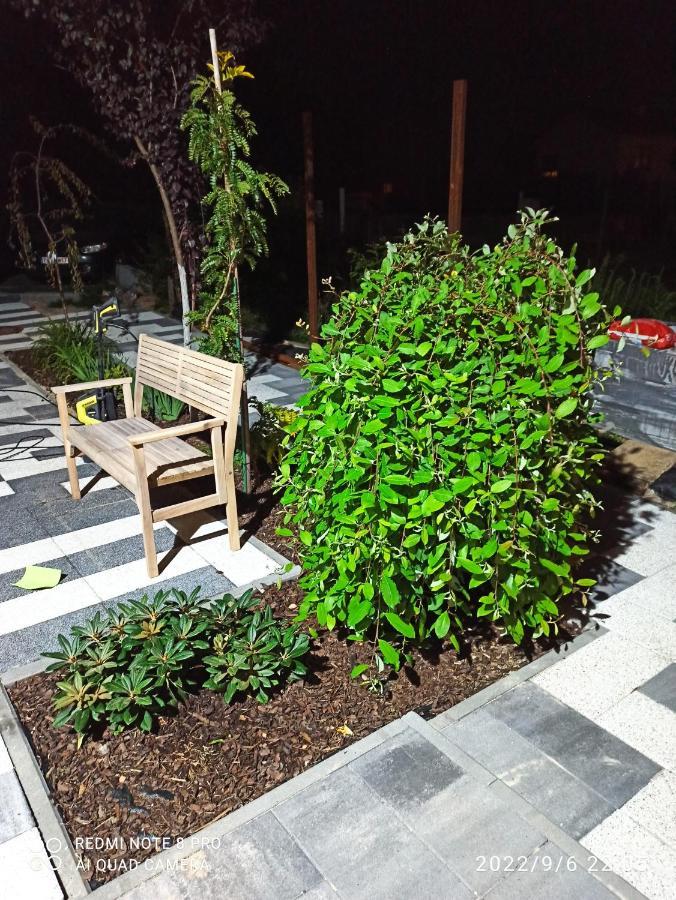 3号一室公寓 波兹南 外观 照片